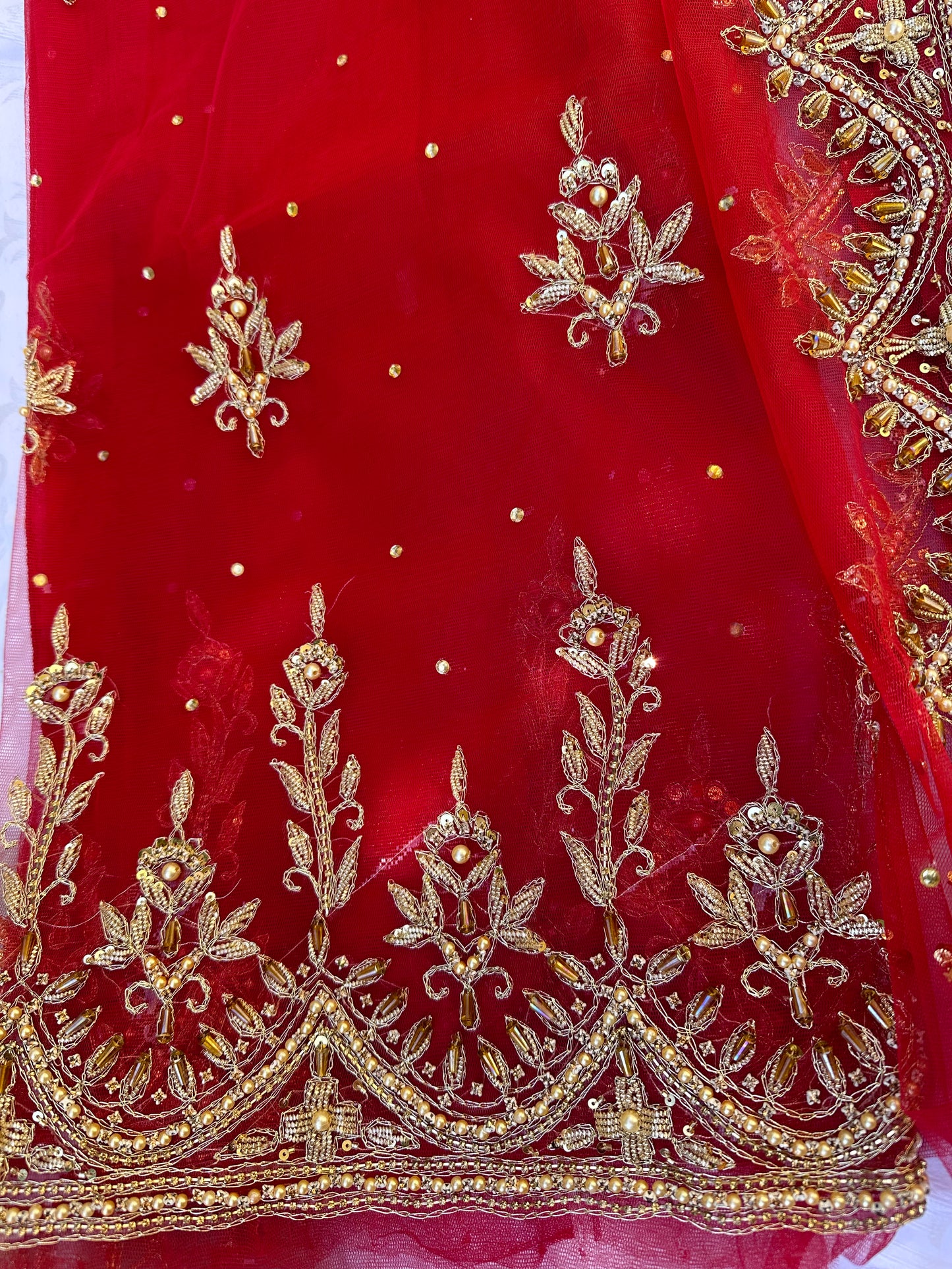 Scalloped Motia