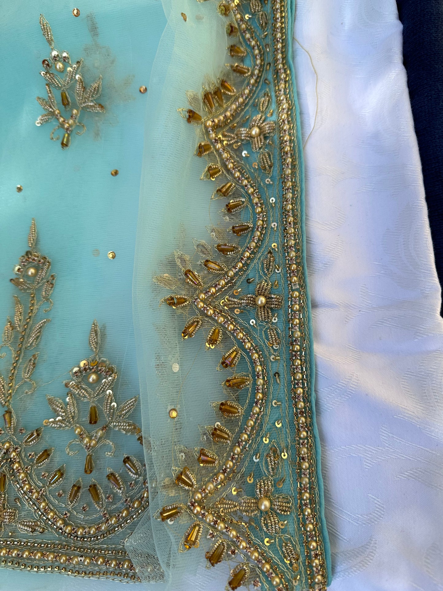 Scalloped Motia