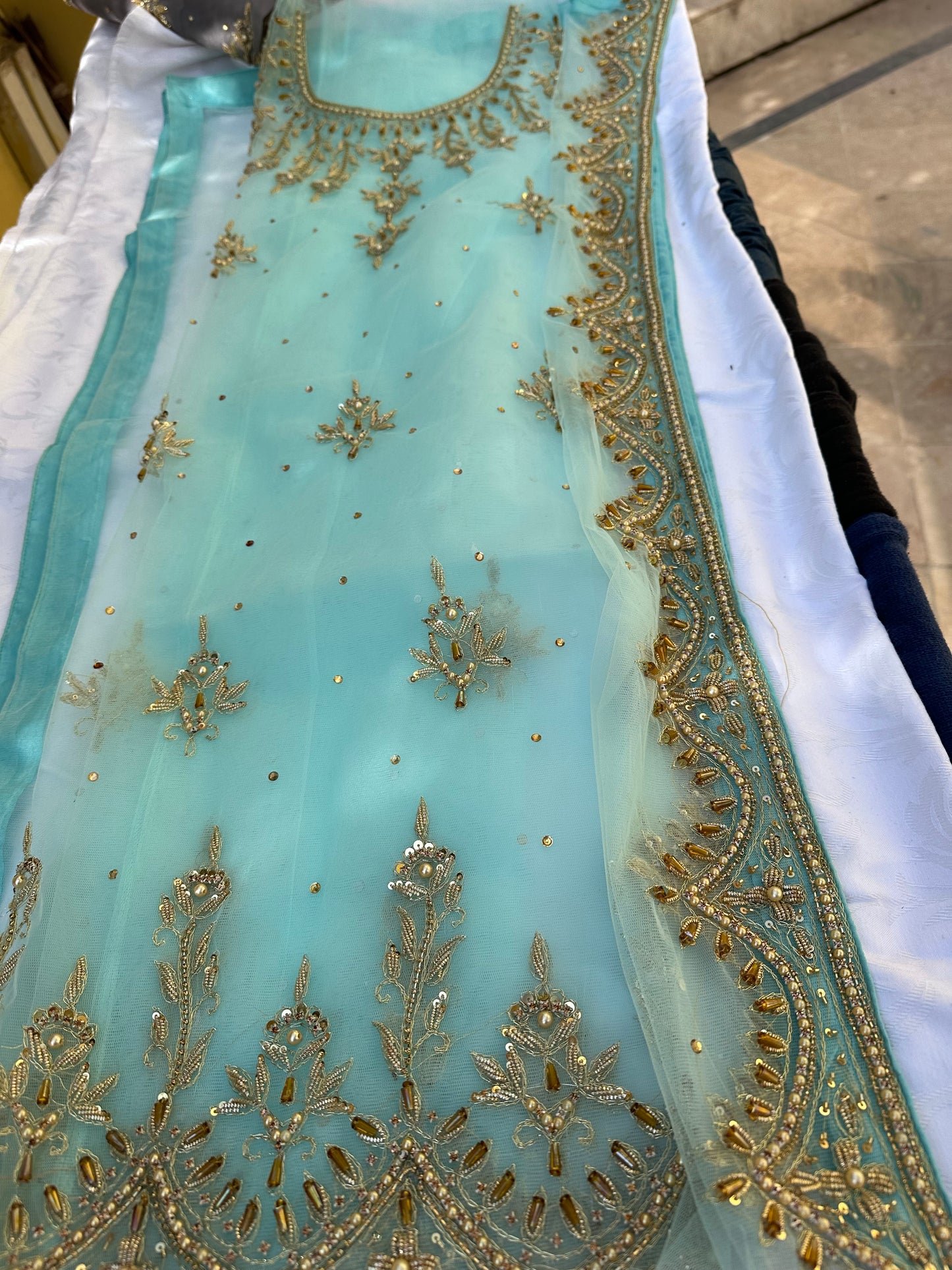 Scalloped Motia