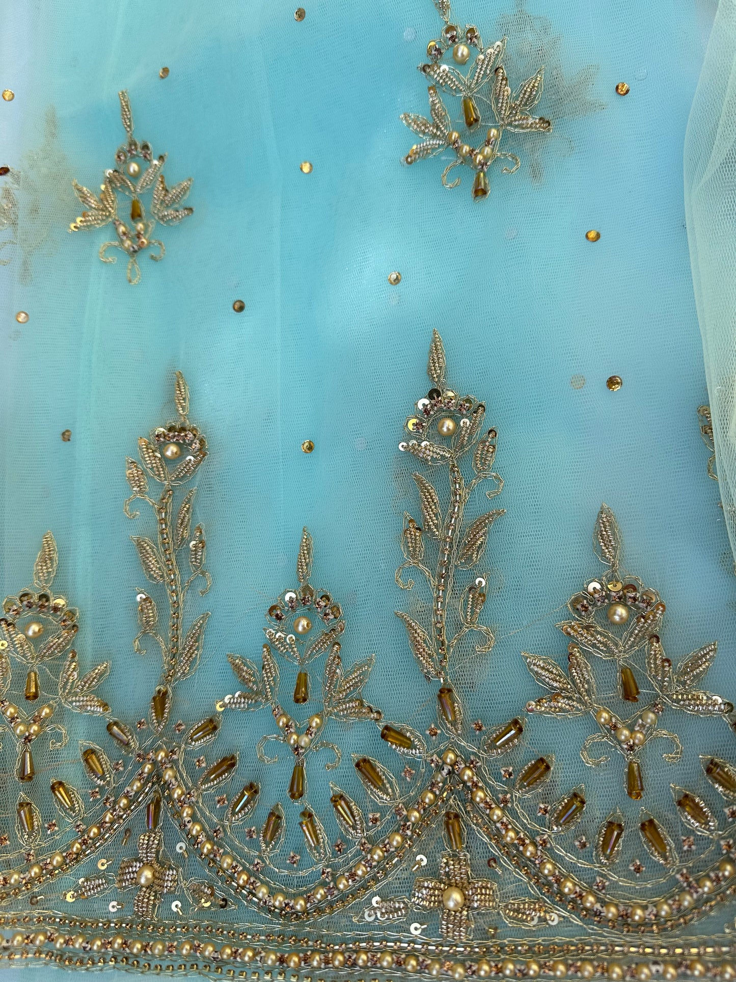 Scalloped Motia