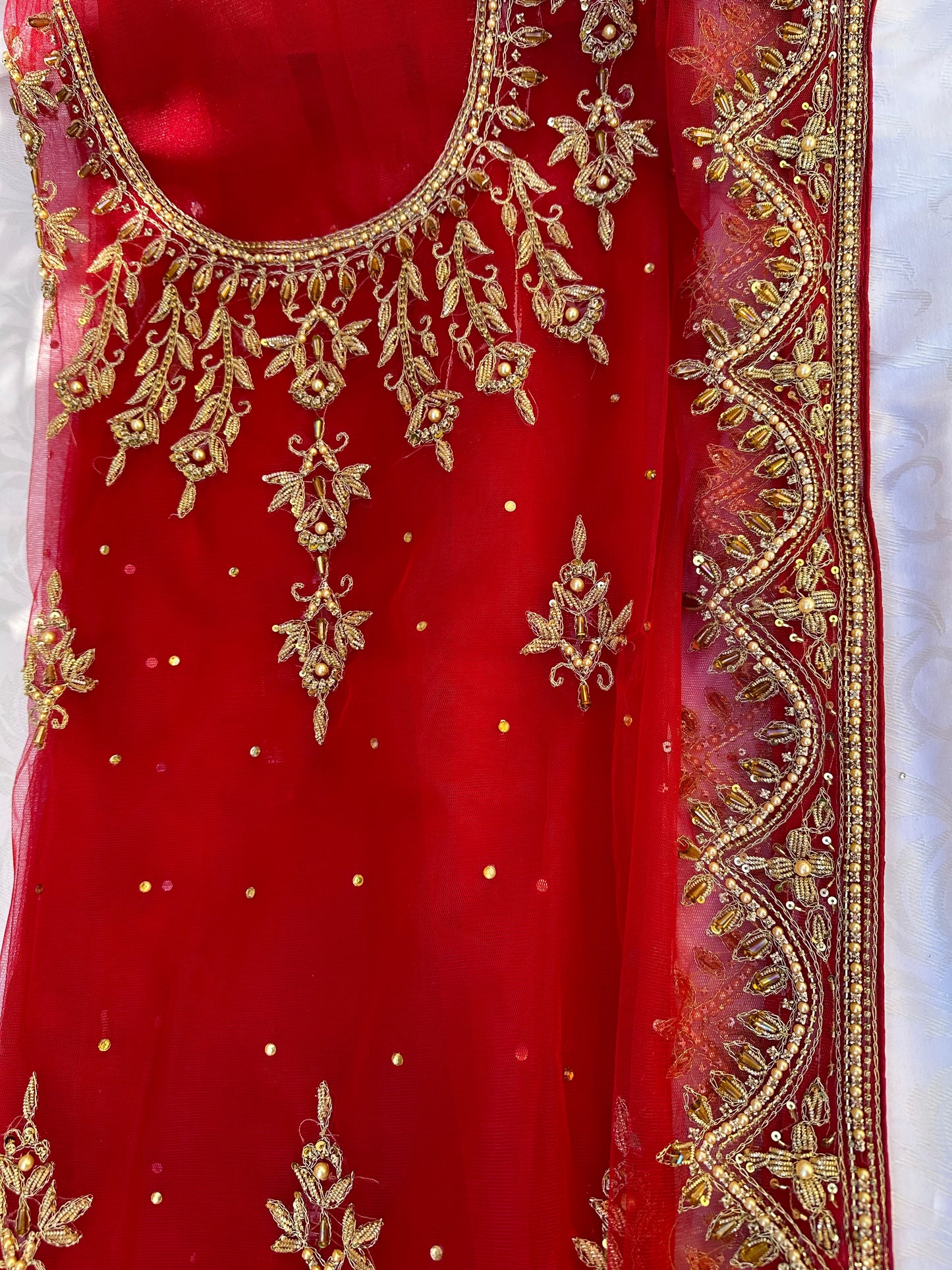 Scalloped Motia