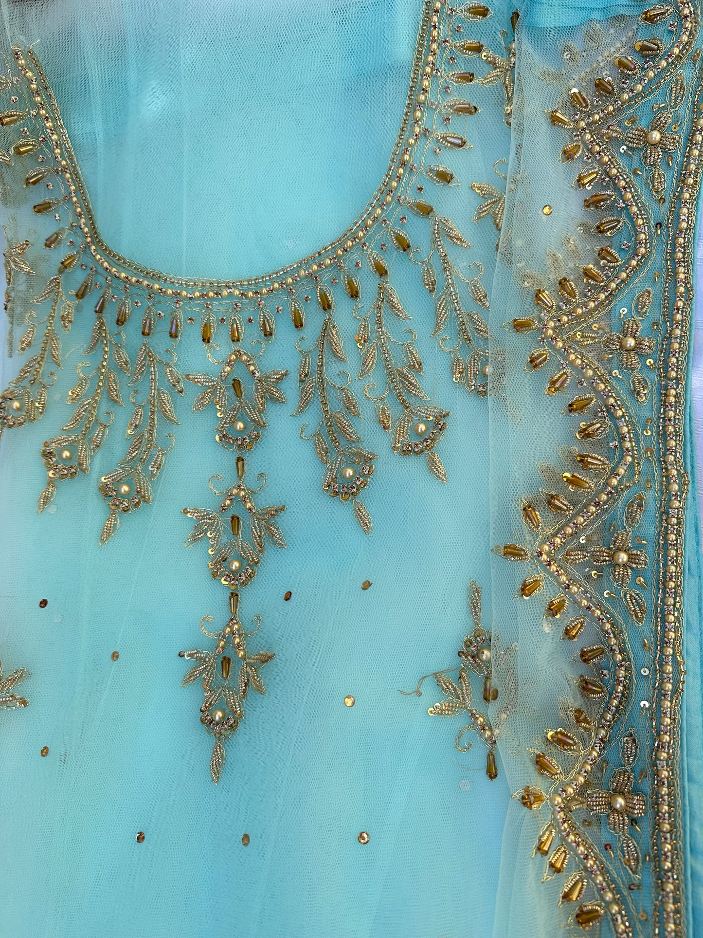 Scalloped Motia