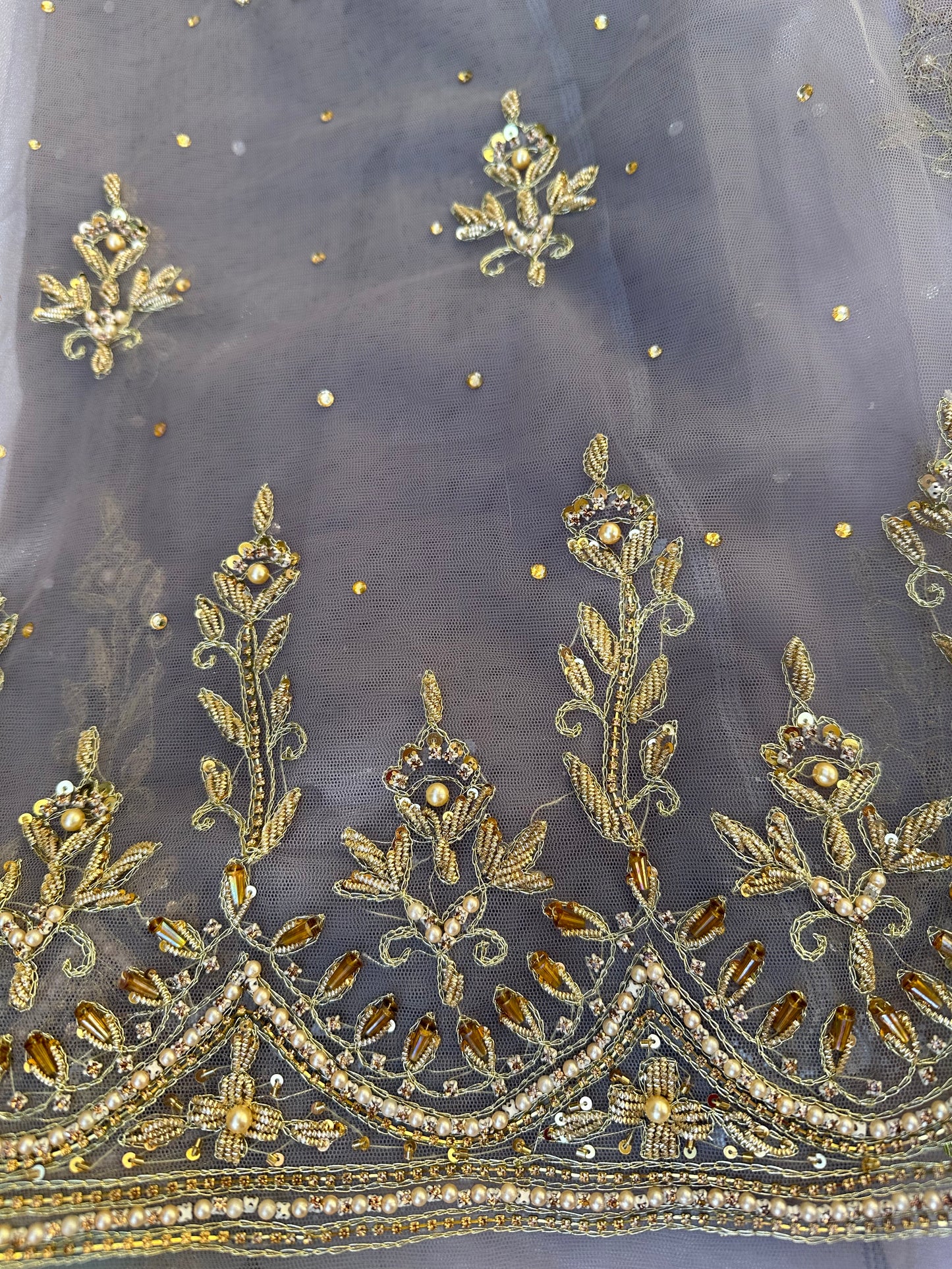 Scalloped Motia