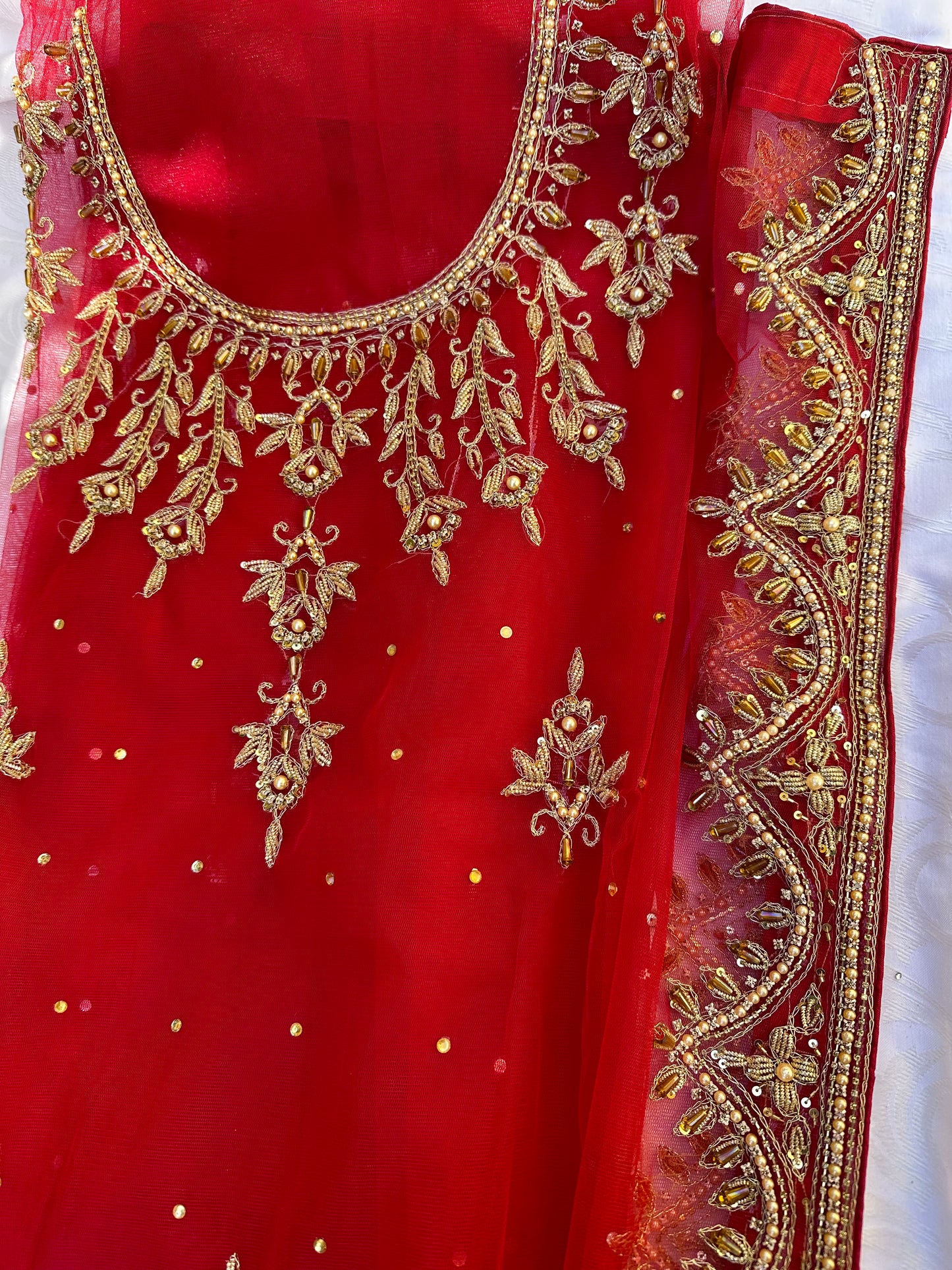 Scalloped Motia