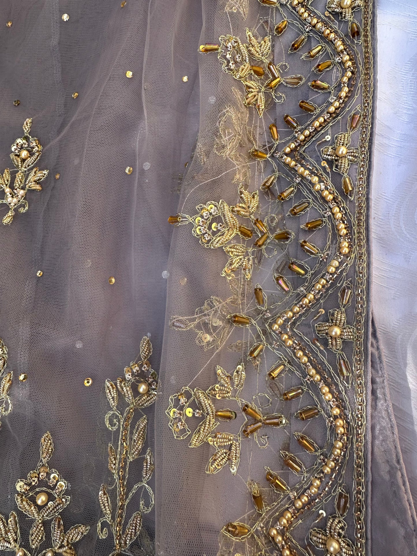 Scalloped Motia