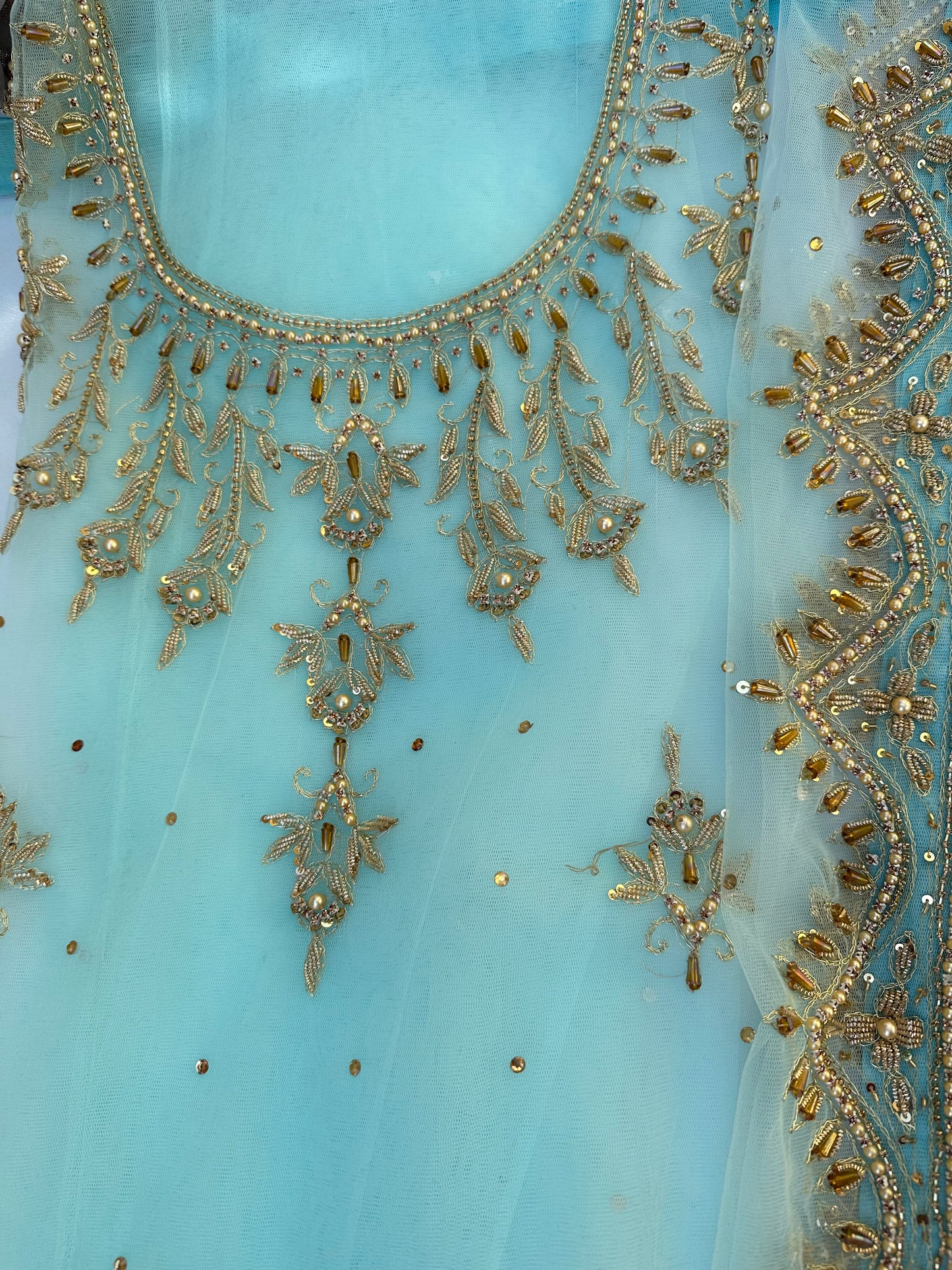 Scalloped Motia