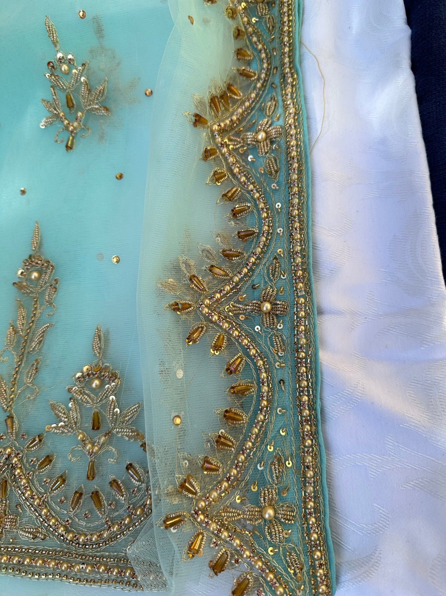 Scalloped Motia