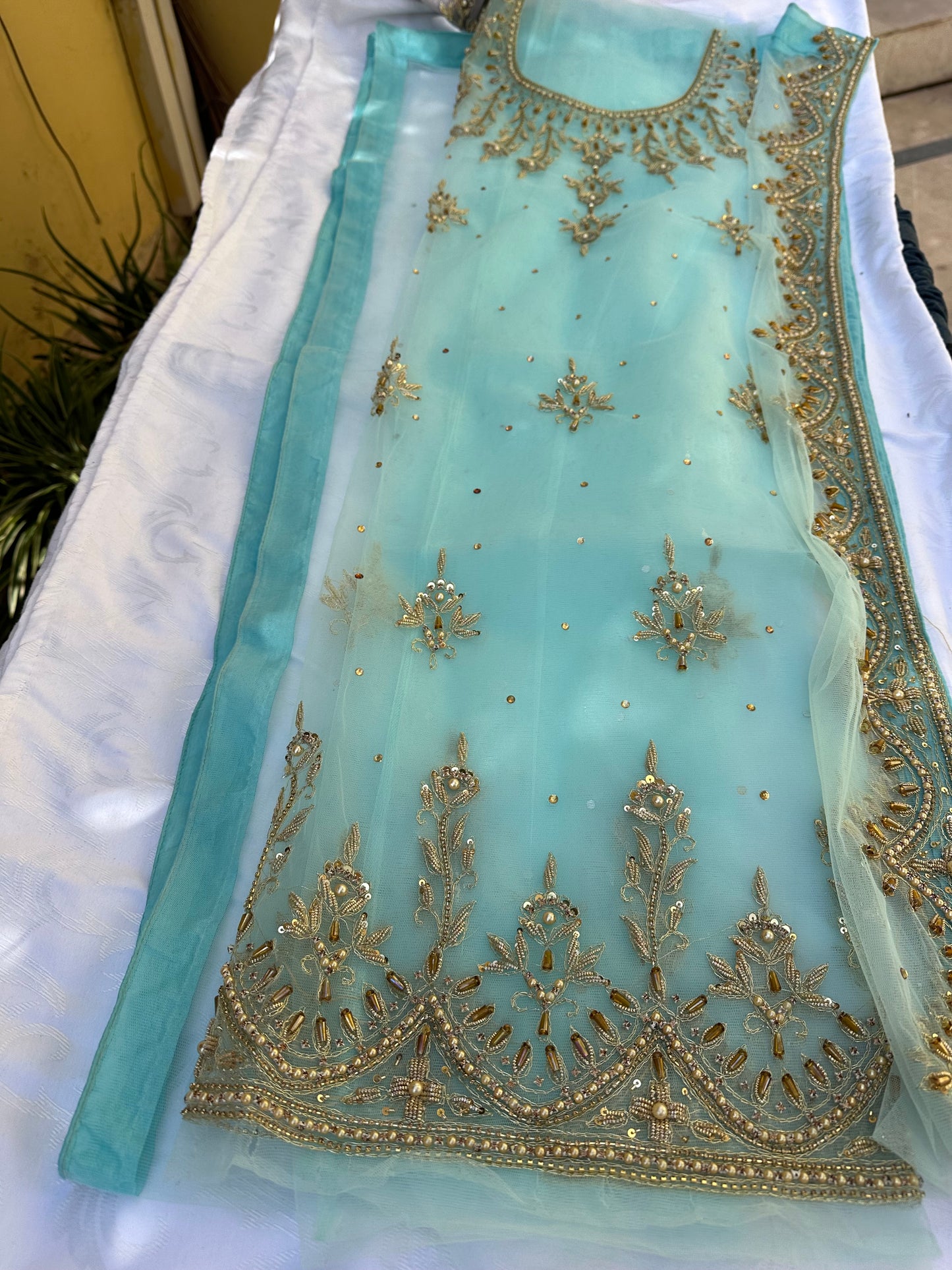 Scalloped Motia